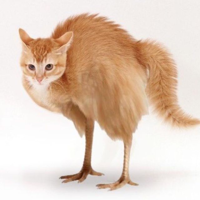 Кристина