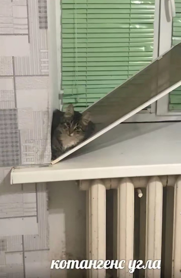 Настя